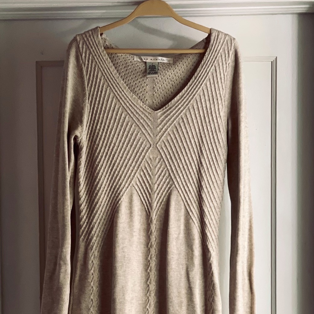 Sweater Dress (Max Studio)